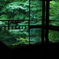 瑠璃光院