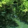 初夏の誘い