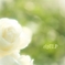 pure
