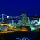 IMGP1416_Bl