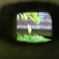 ＬＥＡＦ