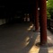 閉館前の大仏殿。in奈良公園