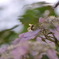 Bee!!