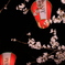 夜桜