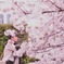 D2092C4B-1400-4E8A-A178-E3D30AC01F73