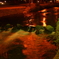 夜の公園