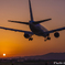 Sunset Landing