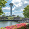 初夏の五稜郭公園