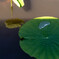 水滴