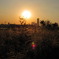 漢江の夕焼け