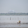 葛西海浜公園 潮干狩り