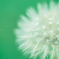 _watage