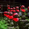 寺山観音寺