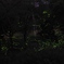 A1D0ED72-7BD6-4D93-8BA2-4B66ECCAA3B9