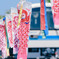 12年目の5月