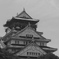 大阪城　アップ