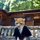 奈良井宿お茶壺猫