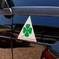 ALFA CORSE