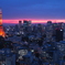 夜の始まり