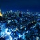 TOKYO Night