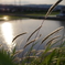 夏の夕焼け