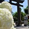 白山神社