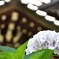 白山神社