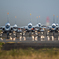 入間航空祭2017・・・8