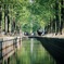 水辺の公園