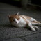 さあ行こう