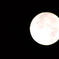 十五夜