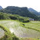 初めて見た棚田