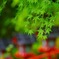 貴船神社