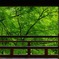貴船神社