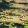 城南宮での一枚