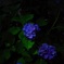 photo_7857393