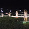 DSCF0477