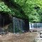 白糸の滝