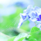 LRM_EXPORT_20180610_141345