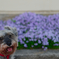 my pretty dog # 187