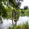 金鱗湖 鳥居