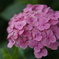 DSC03876