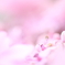 ひらけ　ごま