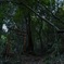 神社への入り口