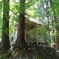 中尊寺　鐘撞堂