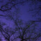 DSC01084