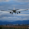 JAL767