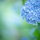 June