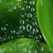 朝から雨１