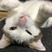 我が家の構ってちゃん